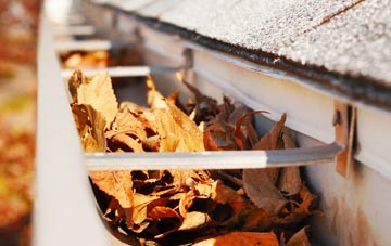 East Newton gutter cleaning companies