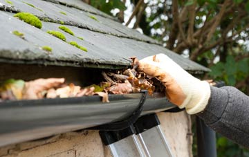 gutter cleaning East Newton