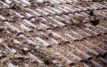 East Newton roof cleaning companies